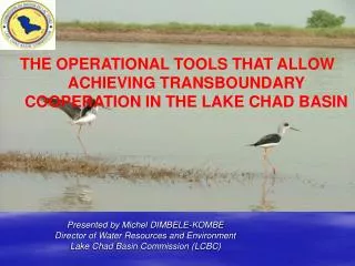 THE OPERATIONAL TOOLS THAT ALLOW ACHIEVING TRANSBOUNDARY COOPERATION IN THE LAKE CHAD BASIN