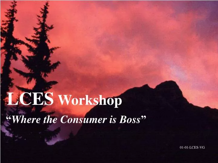 lces workshop where the consumer is boss