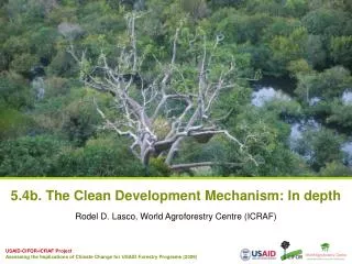 5.4b. The Clean Development Mechanism: In depth