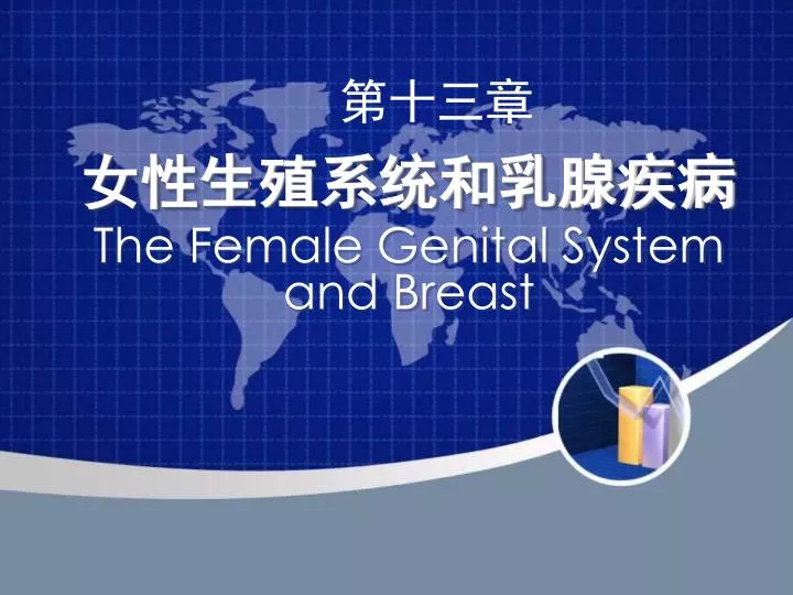 the female genital system and breast