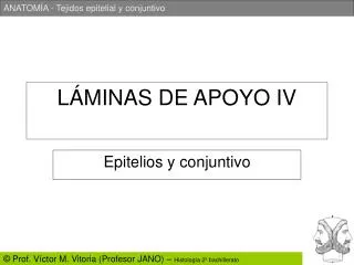 l minas de apoyo iv