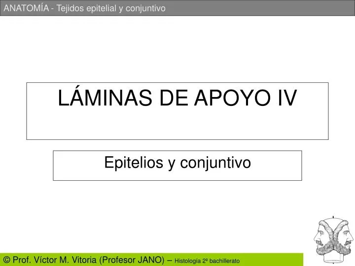 l minas de apoyo iv