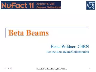 Elena Wildner, CERN For the Beta Beam Collaboration
