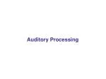 Auditory Processing