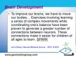 PPT - Brain Development PowerPoint Presentation, free download - ID:9389346