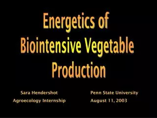 Energetics of Biointensive Vegetable Production
