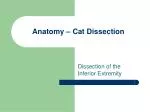 Anatomy – Cat Dissection - slide 1