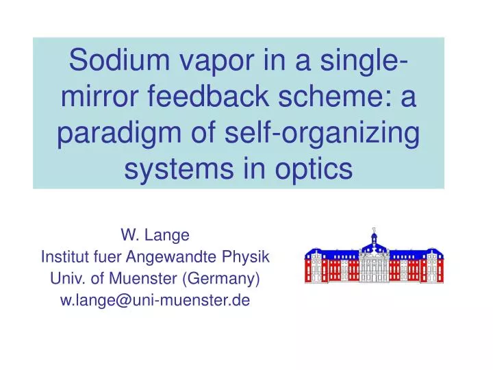 sodium vapor in a single mirror feedback scheme a paradigm of self organizing systems in optics