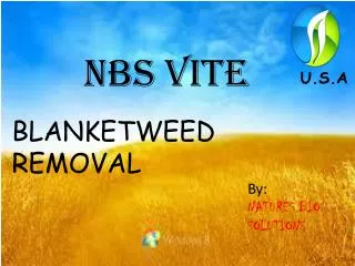 NBS VITE- blanketweed Solution/Free Delivery
