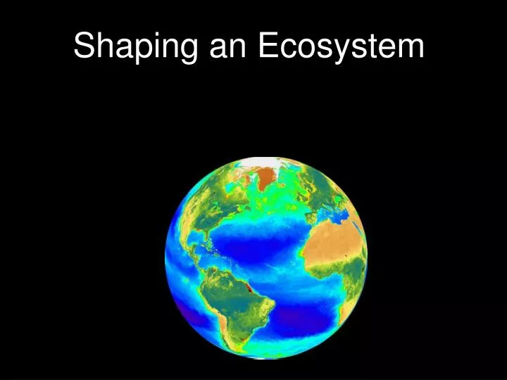 shaping an ecosystem