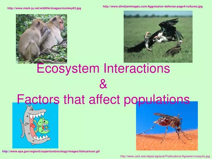 ecosystem interactions factors that affect populations
