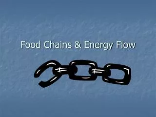 Food Chains &amp; Energy Flow