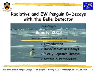 Radiative and EW Penguin B-Decays with the Belle Detector