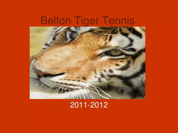 belton tiger tennis
