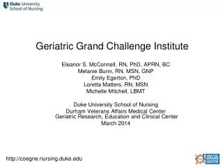 Geriatric Grand Challenge Institute