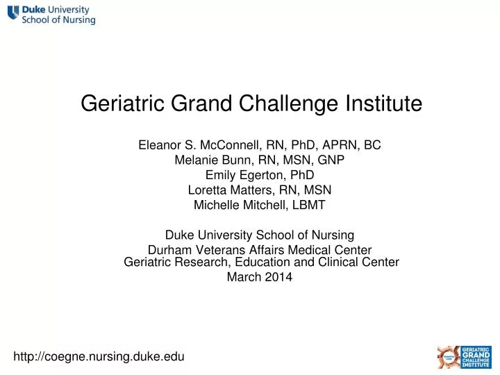 geriatric grand challenge institute