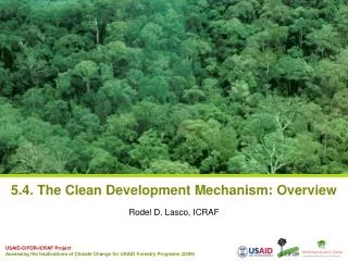 5.4. The Clean Development Mechanism: Overview