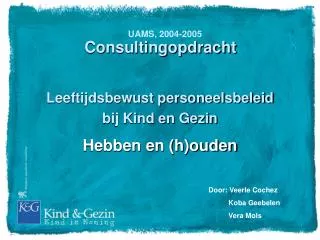 consultingopdracht