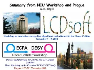 Summary from NIU Workshop and Prague S. R. Magill