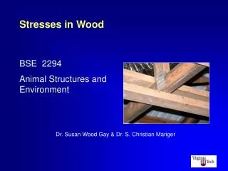 Stresses in Wood
