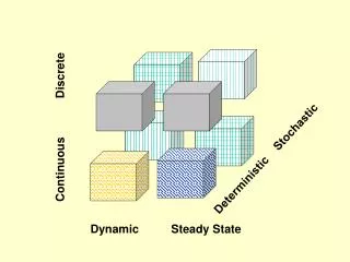 Dynamic Steady State