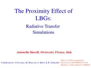 Radiative Transfer Simulations