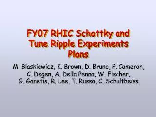 FY07 RHIC Schottky and Tune Ripple Experiments Plans