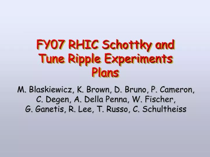 fy07 rhic schottky and tune ripple experiments plans