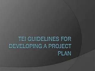 TEI Guidelines for Developing a Project Plan