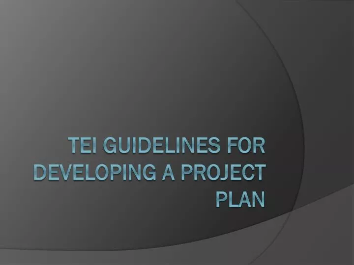 tei guidelines for developing a project plan