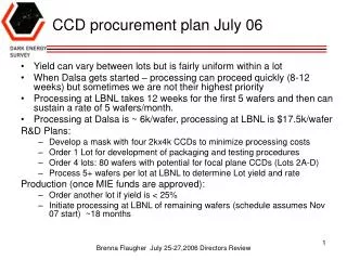 CCD procurement plan July 06