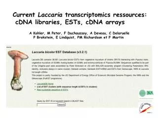 Current Laccaria transcriptomics ressources: cDNA libraries, ESTs, cDNA arrays