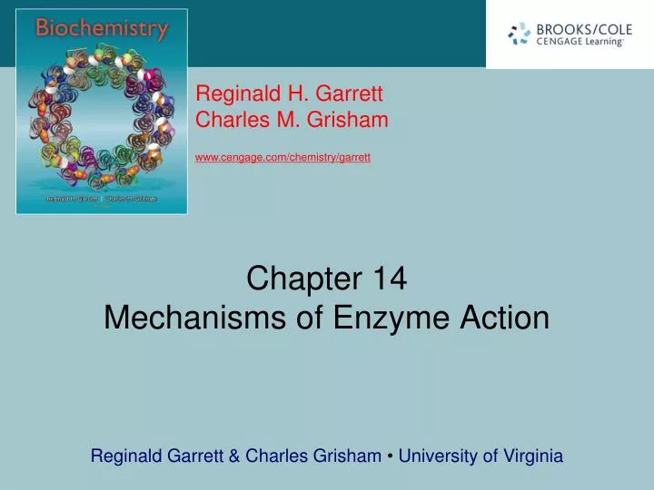 chapter 14 mechanisms of enzyme action