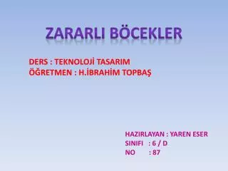 ZARARLI BÖCEKLER