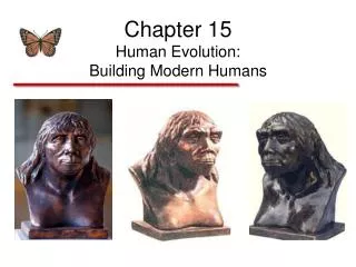 Chapter 15 Human Evolution: Building Modern Humans