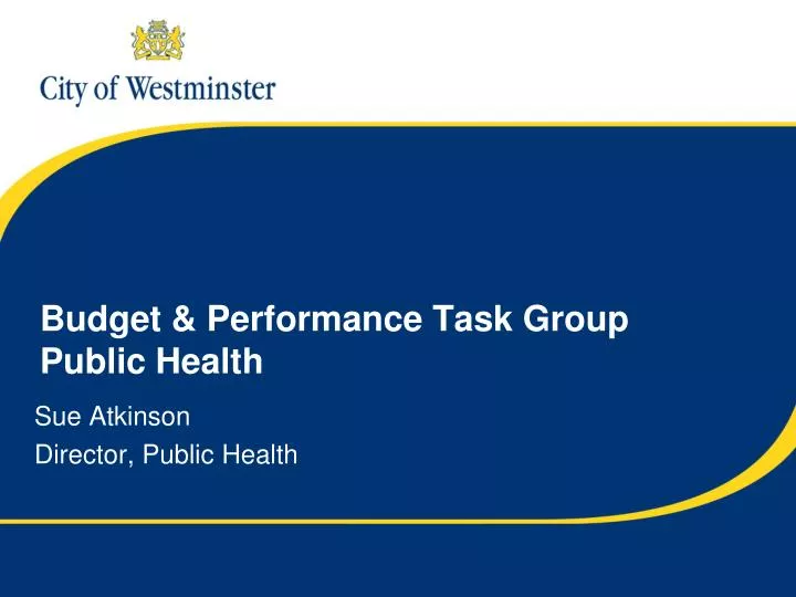 budget performance task group public health