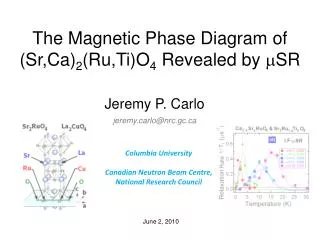 The Magnetic Phase Diagram of (Sr,Ca) 2 (Ru,Ti)O 4 Revealed by m SR