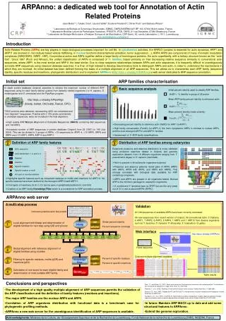 ARPAnno: a dedicated web tool for Annotation of Actin Related Proteins