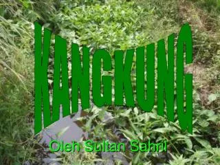 oleh sultan sahril