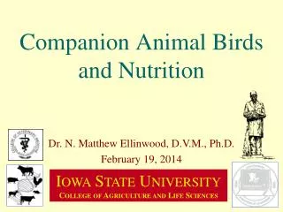 Companion Animal Birds and Nutrition