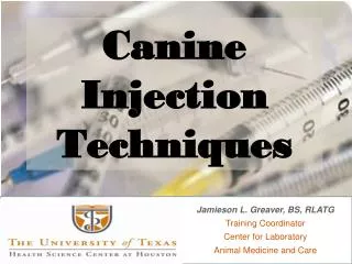 Canine Injection Techniques