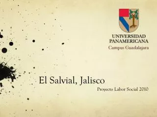 el salvial jalisco