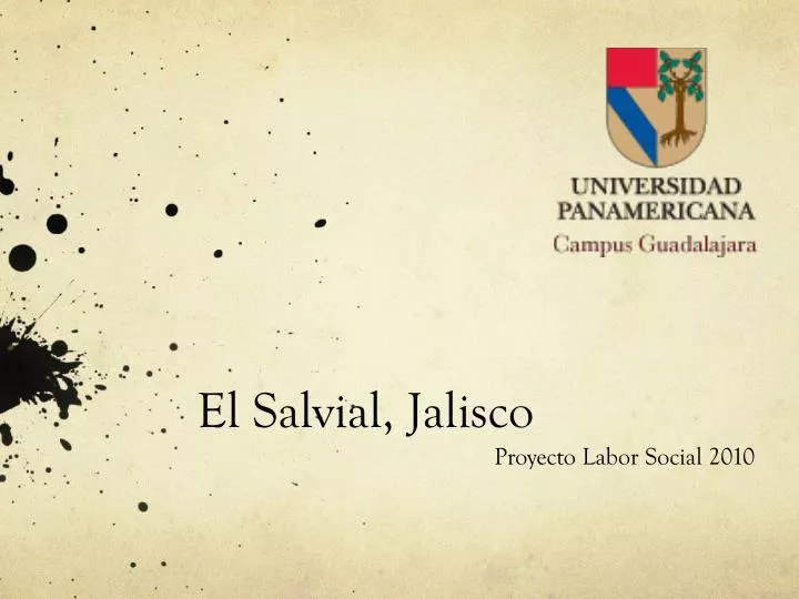 el salvial jalisco