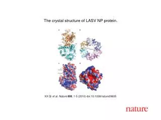 XX Qi et al. Nature 000 , 1-5 (2010) doi:10.1038/nature09605