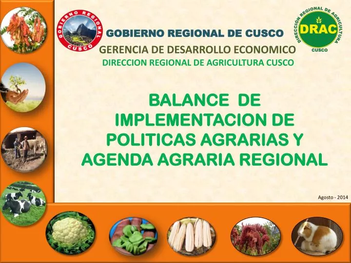 balance de implementacion de politicas agrarias y agenda agraria regional