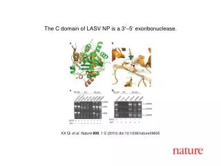 XX Qi et al. Nature 000 , 1-5 (2010) doi:10.1038/nature09605