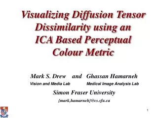 Visualizing Diffusion Tensor Dissimilarity using an ICA Based Perceptual Colour Metric