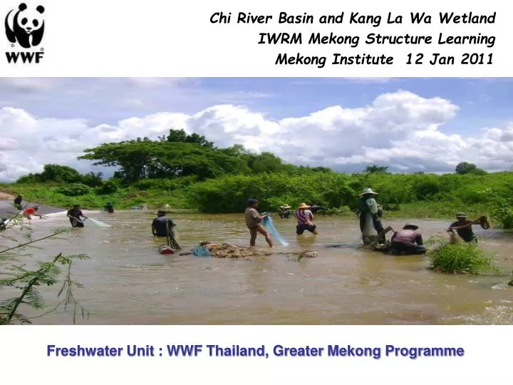 freshwater unit wwf thailand greater mekong programme