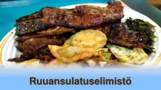 ruuansulatuselimist