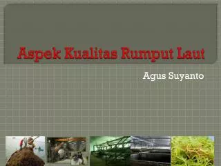 aspek kualitas rumput laut